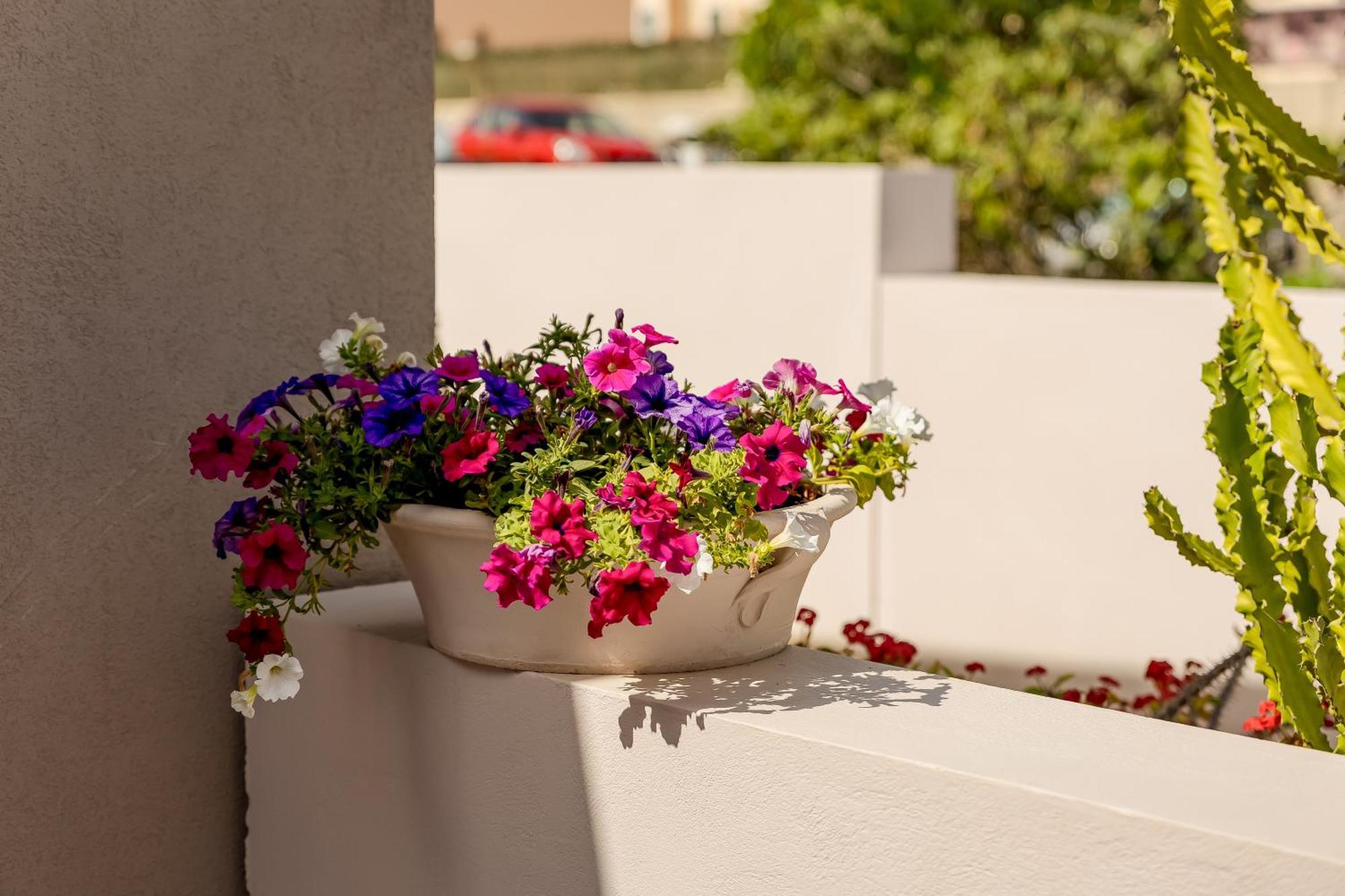 Sarpidon Suites Agia Marina Dış mekan fotoğraf